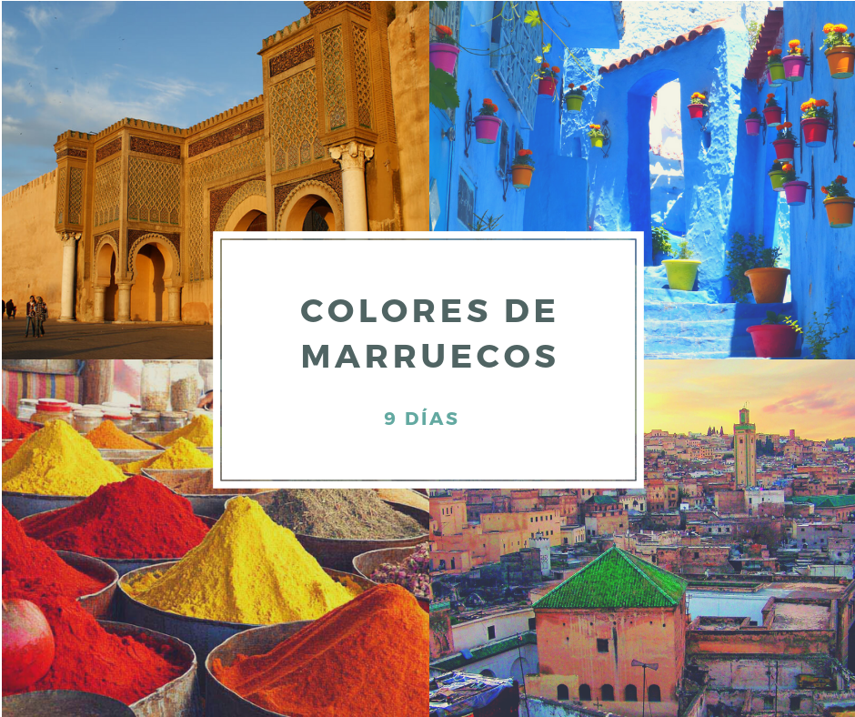 Modern Travel Plain Collage Facebook Post (7)